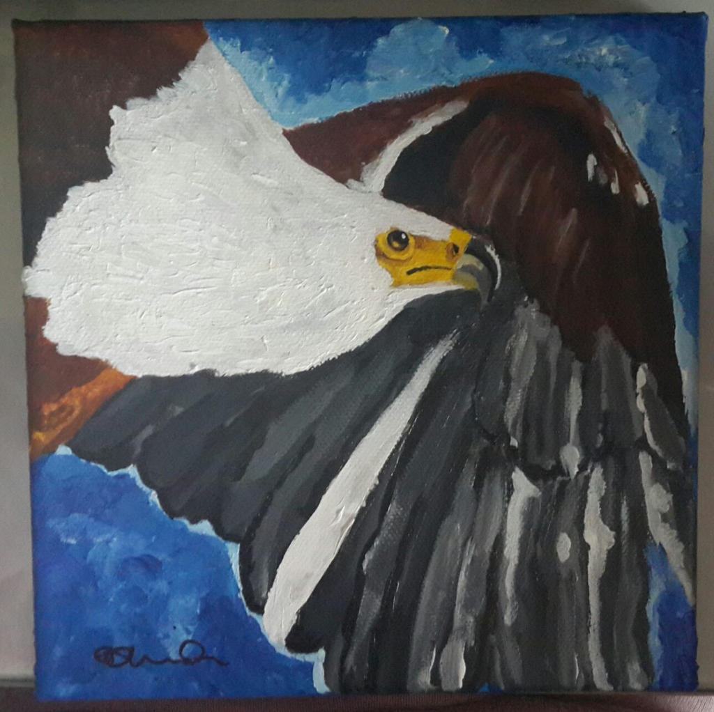 Fish Eagle