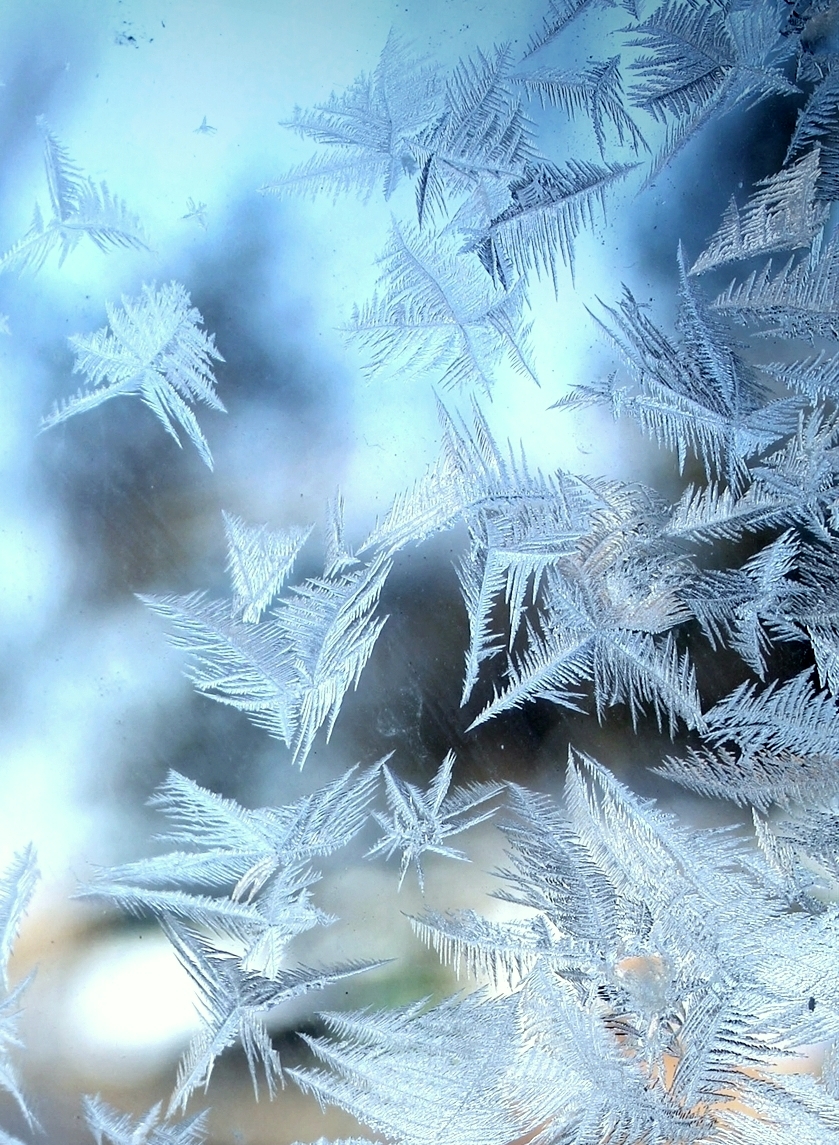 Siberian winter