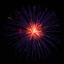 Fireworks 2013 5