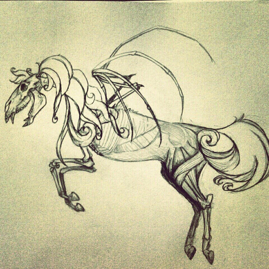 Skeletal horse WIP