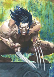 Wolverine