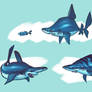 Shark sketches