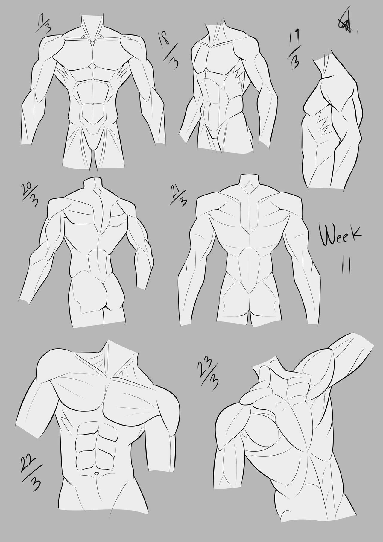 Random Anime Torso Week11-torso by AlkeasChoco on DeviantArt
