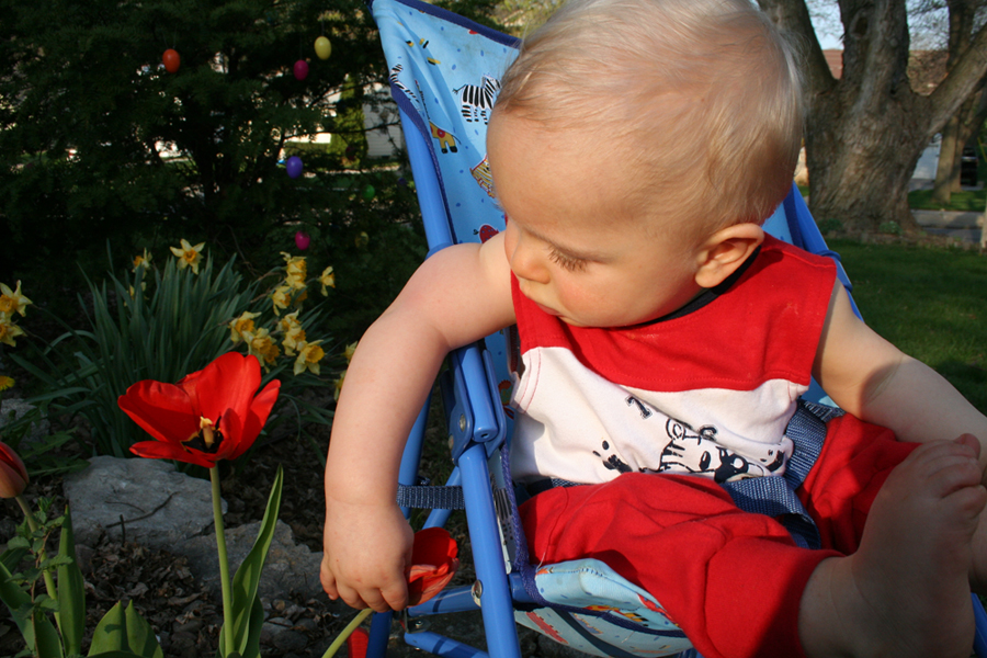 Flowerboy