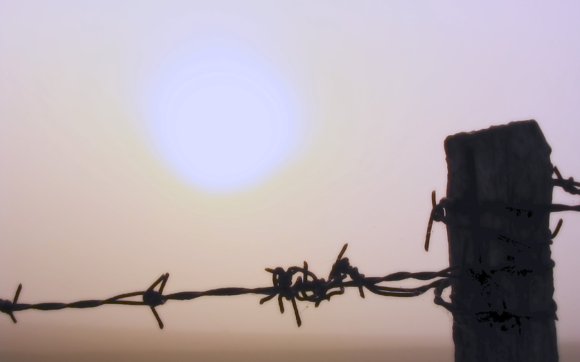 Barb Wire Sunset