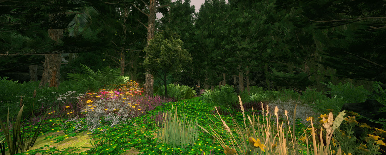 FlowScape: création paysage 3d Mandelsian_forest_by_alfredvallamir_deyw1tg-fullview.jpg?token=eyJ0eXAiOiJKV1QiLCJhbGciOiJIUzI1NiJ9.eyJzdWIiOiJ1cm46YXBwOjdlMGQxODg5ODIyNjQzNzNhNWYwZDQxNWVhMGQyNmUwIiwiaXNzIjoidXJuOmFwcDo3ZTBkMTg4OTgyMjY0MzczYTVmMGQ0MTVlYTBkMjZlMCIsIm9iaiI6W1t7ImhlaWdodCI6Ijw9NTE0IiwicGF0aCI6IlwvZlwvMGZmYjllMmYtNmZjMy00MjUwLWE5NmMtN2E3YTBiMThjYjBiXC9kZXl3MXRnLWZjMDdmMWY2LWE4NmEtNDIwNi1iYWU5LTNiZGY1OWU5YzE5Zi5wbmciLCJ3aWR0aCI6Ijw9MTI4MCJ9XV0sImF1ZCI6WyJ1cm46c2VydmljZTppbWFnZS5vcGVyYXRpb25zIl19