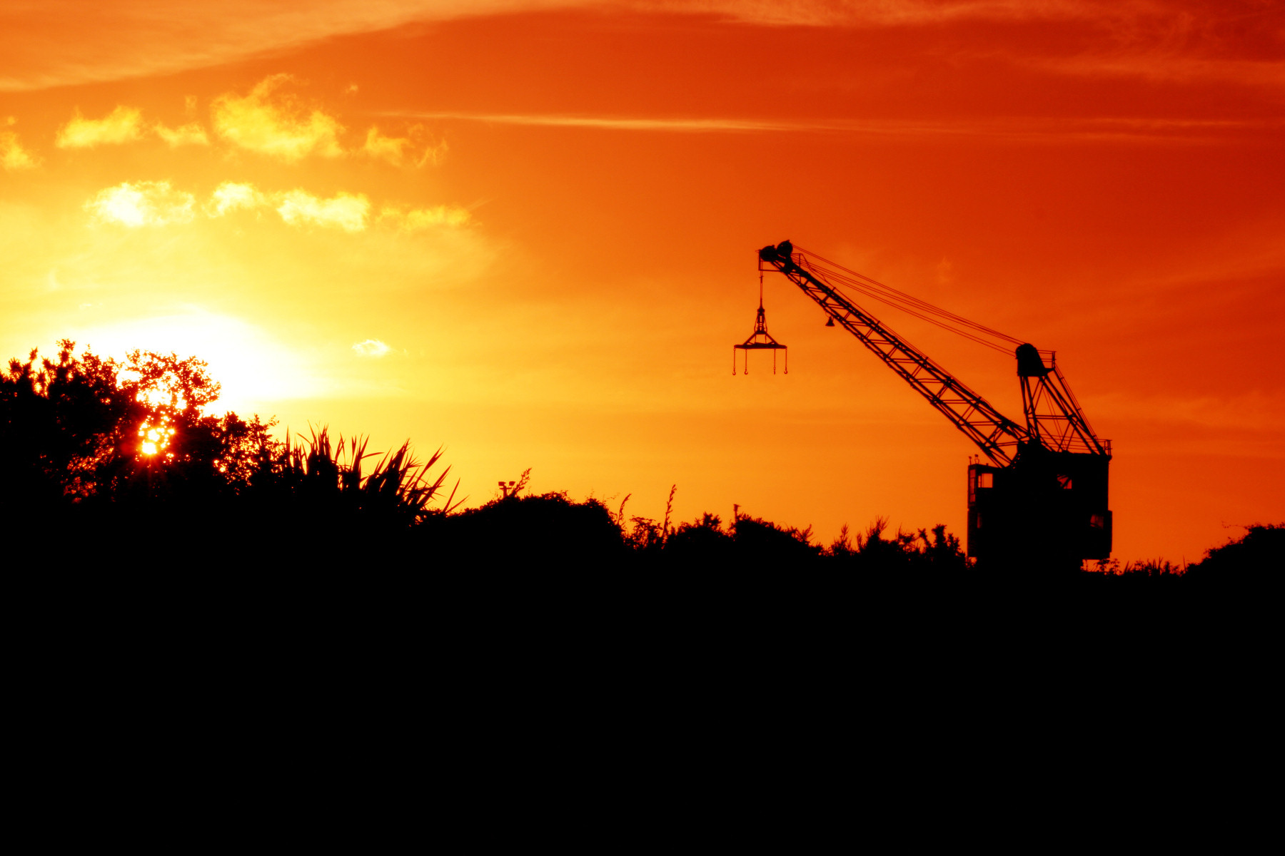 Crane Sunset