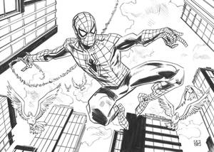 Spidey sketch.