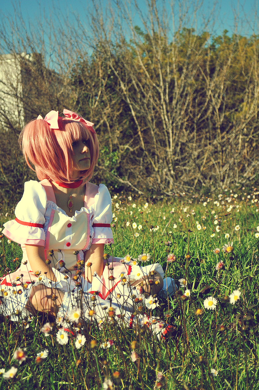 Madoka, field of hope 2