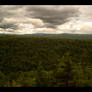Adirondack Forest