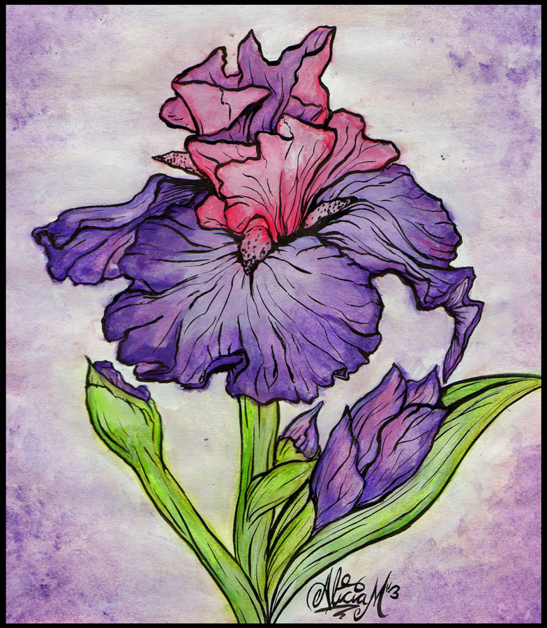 Iris-Barbudo-Mothers-Day