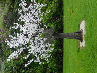 Light up Tree Ballyseede Garden