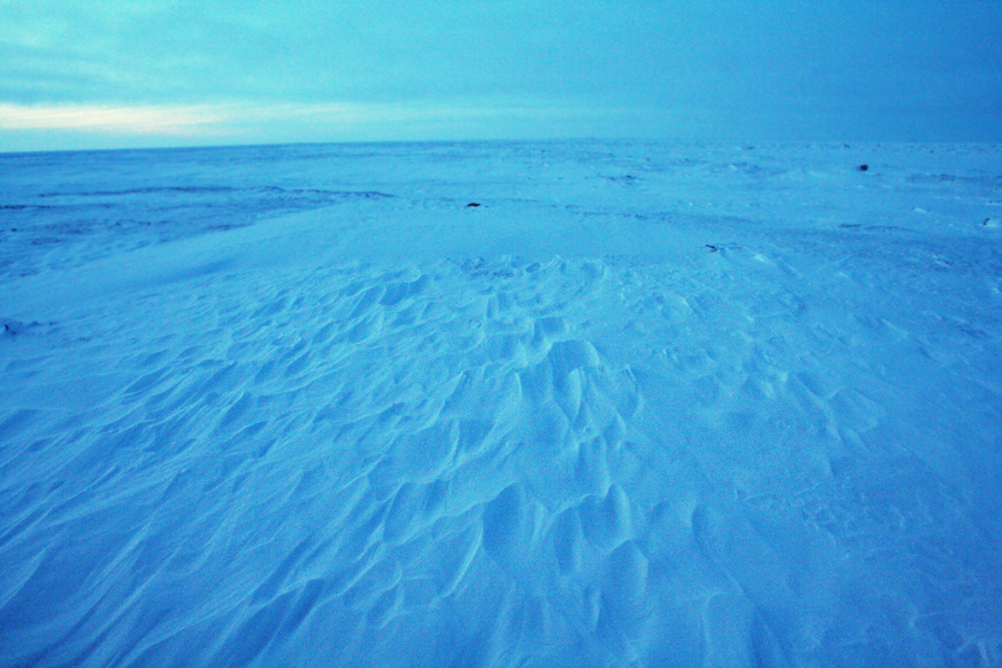 alaskan sand.