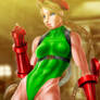 Cammy SF V version