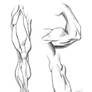 Anatomy Studies: Leg, Arm, Foot