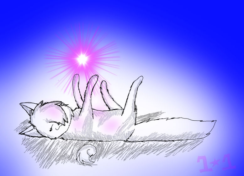 Random Kitty by Firestar101 on DeviantArt