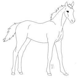 Foal Lineart