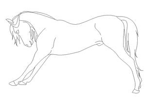 Stretching Horse