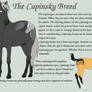 Capinsky Breed