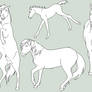 Feral Horse Lines