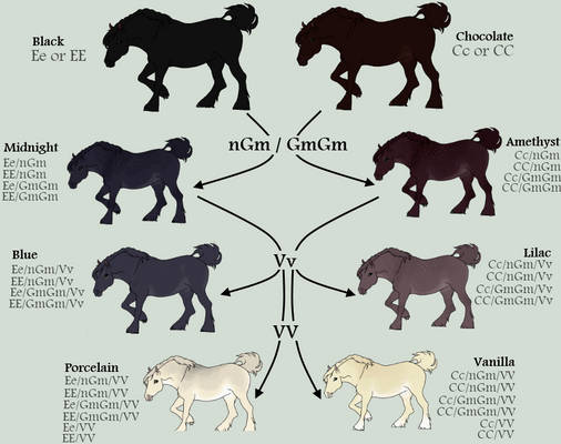 Snjorstur Genesheet 01