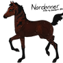 Foal 5199