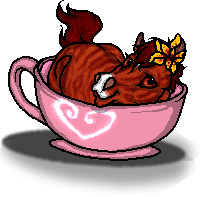 Tora in a Cup