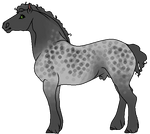 Dapple Roan by orengel