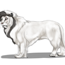 Issan | Whitelander Lion | Royal Betrothal