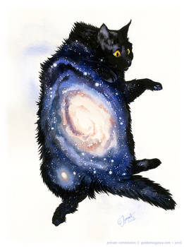 Galaxy Cat - Andromeda