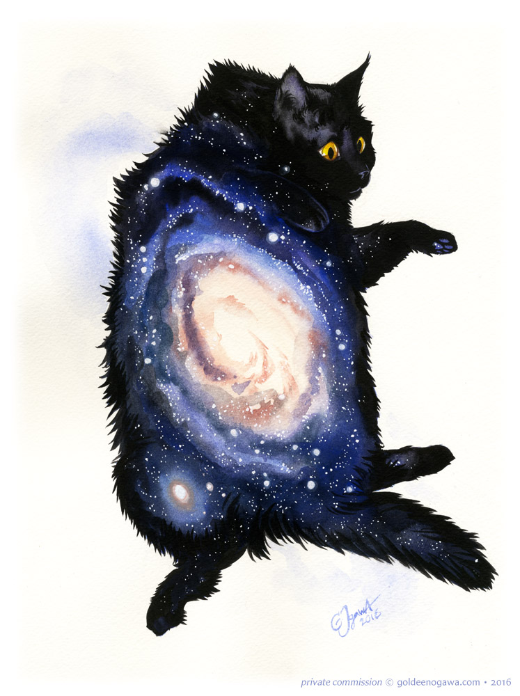 Galaxy Cat - Andromeda