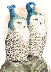 Strange Snowy Owls