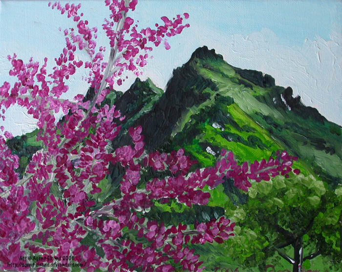 Blossom Peak - oil