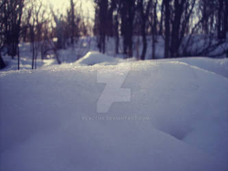 ~ snow in Poland