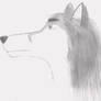 Foxy Wolf profile