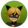 Chat Noir Pin