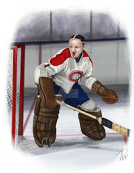 2-32 NHL GOALIES Mike Smith by LucyFox5713 on DeviantArt