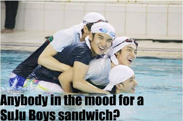 Super Junior Sandwich