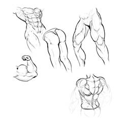 Muscle Practice Out Of Shape