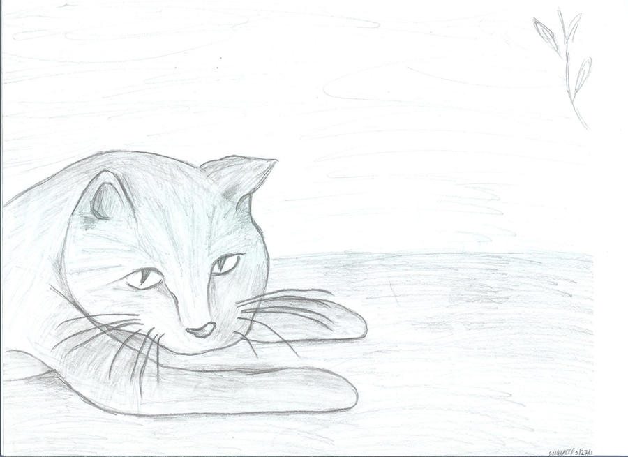 Cat Sketch