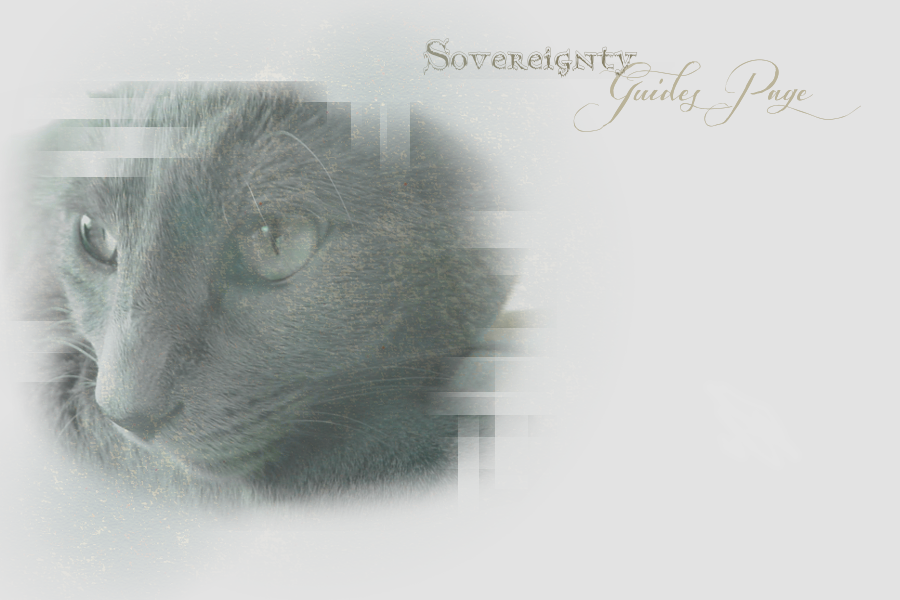 Sovereignty Guides Page Layout -- Winter 2013