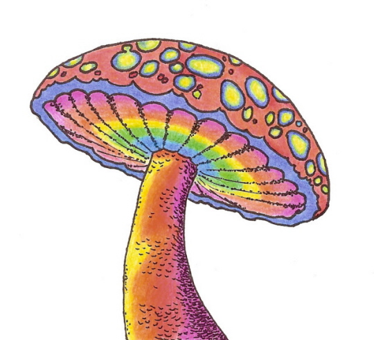 Shroom