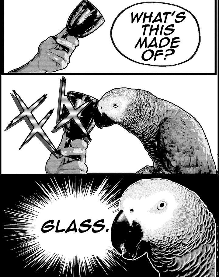 Apollo GLASS Meme by ParrotAfricanGrey on DeviantArt