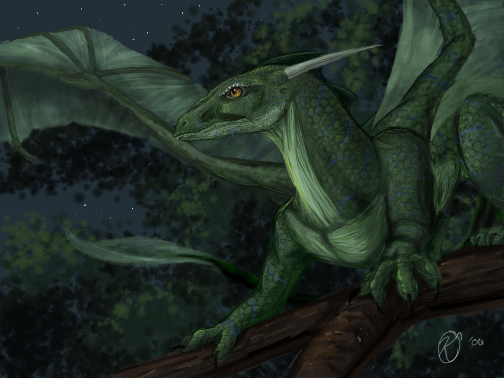 Moonlit Hunter by Katolin on DeviantArt