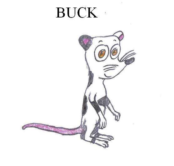 OC B11/14 - Buck