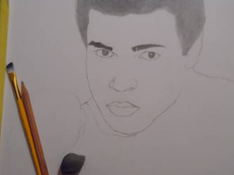 Muhammad Ali WIProgress.