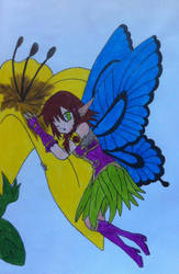 Pius the Fairy