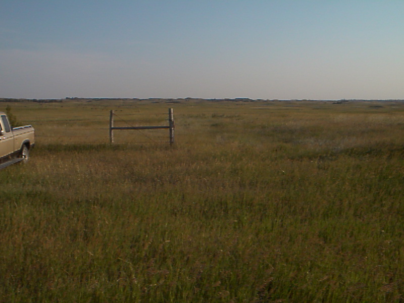 The Fields Beyond