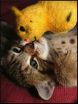 Kissing Pikachu by Elfster