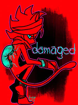 -Damaged-